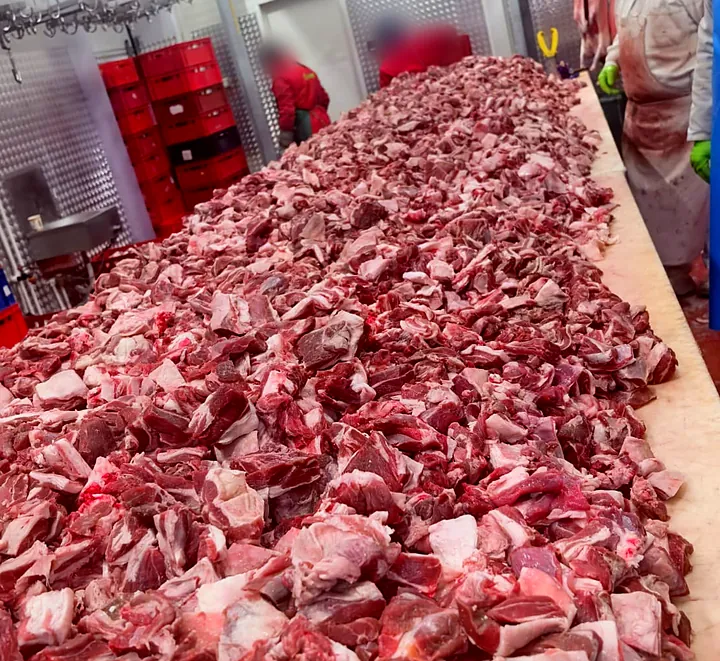 Carne de lucru oaie proaspătă și congelată