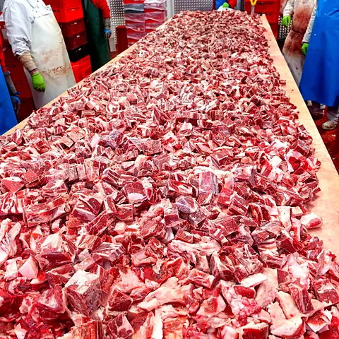 Carne de lucru oaie – fotografie din fabrica Gabioti