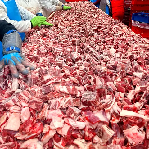 Carne de lucru oaie – fotografie din fabrica Gabioti