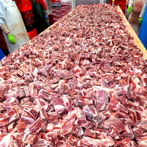 Carne de lucru oaie – fotografie din fabrica Gabioti