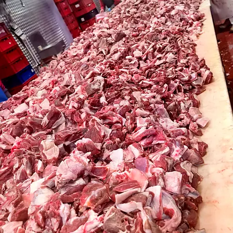 Carne de lucru oaie – fotografie din fabrica Gabioti